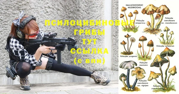 прущие крисы Алексин