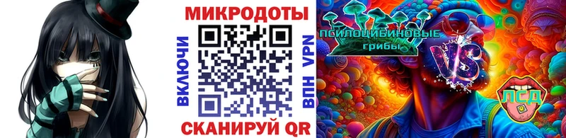 Купить где  Лениногорск  Галлюциногенные грибы Psilocybine cubensis 